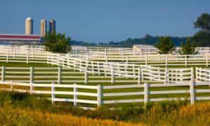 a large stretch of PVC vinyl fencing on a farm